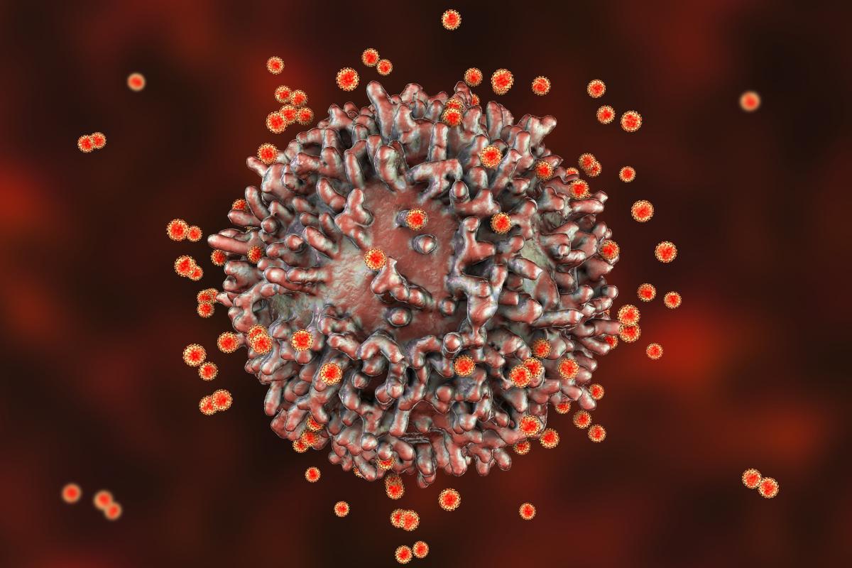 A pesar de que el SARS-CoV-2 muta menos que otros virus, la aparición de nuevas variantes puede complicar el panorama / © AdobeStock